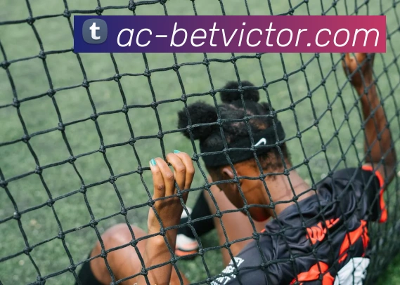 伟德体育官网APP 高清赛事图